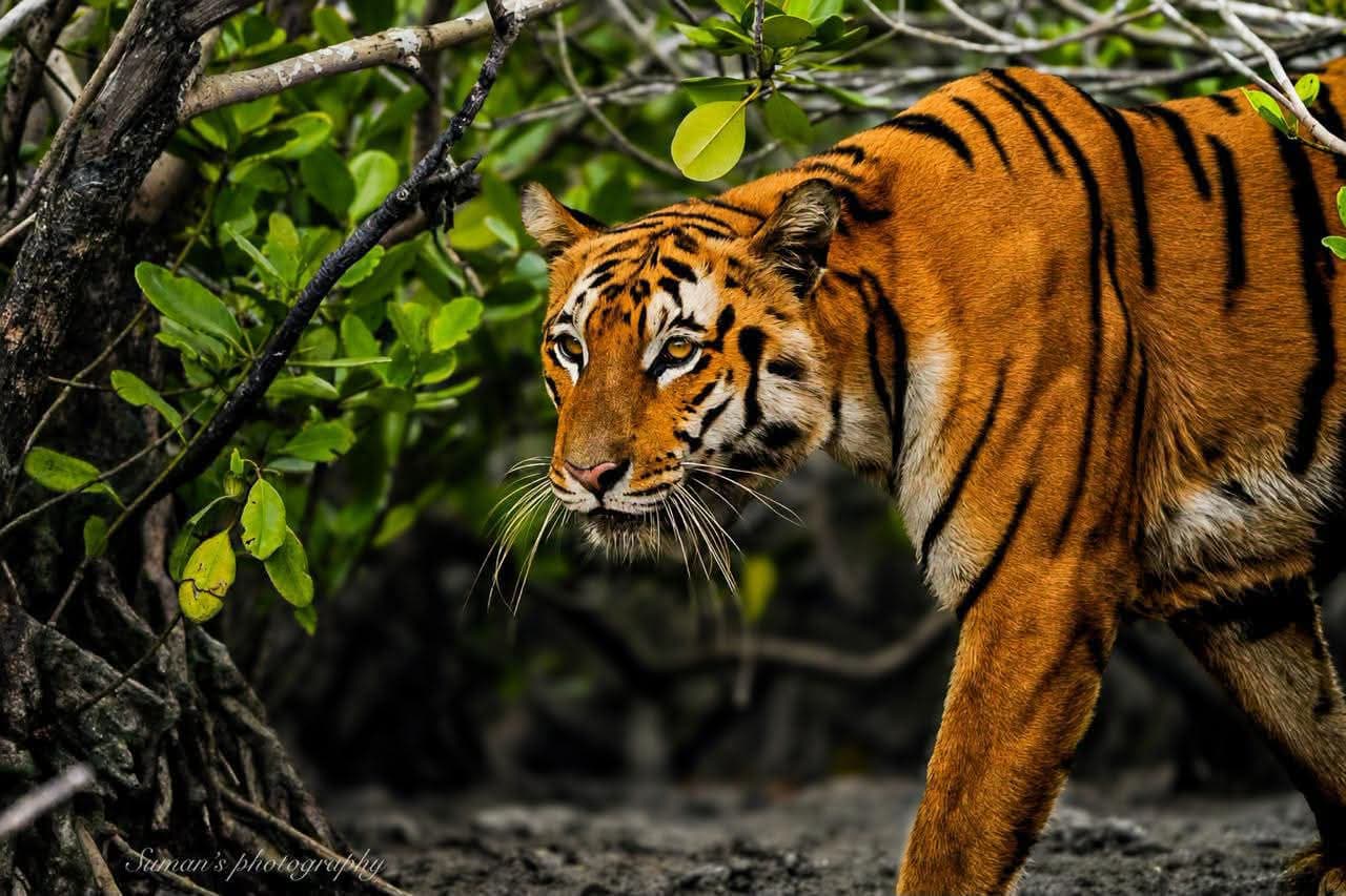 On the move